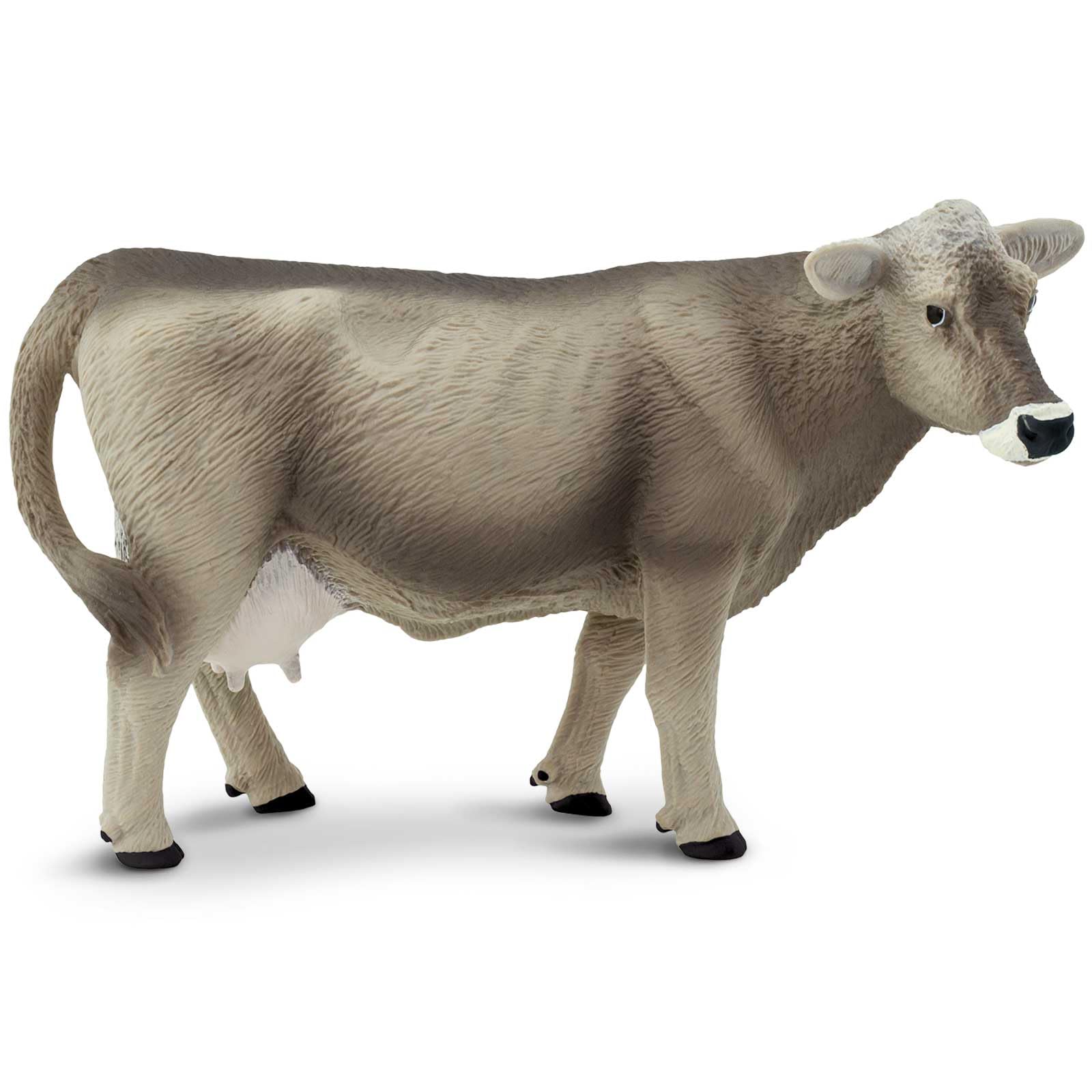 Farm Animals