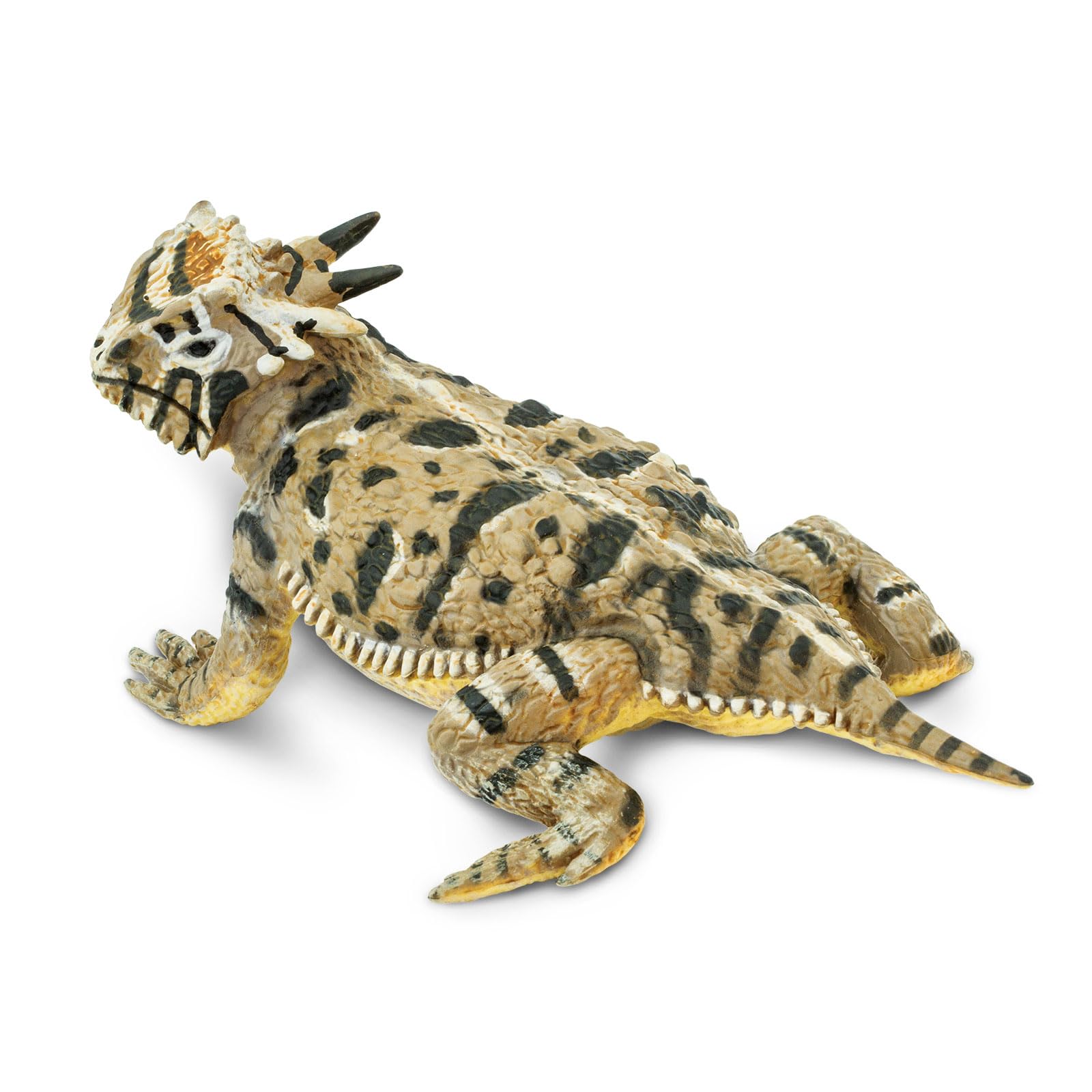 Reptiles & Amphibians