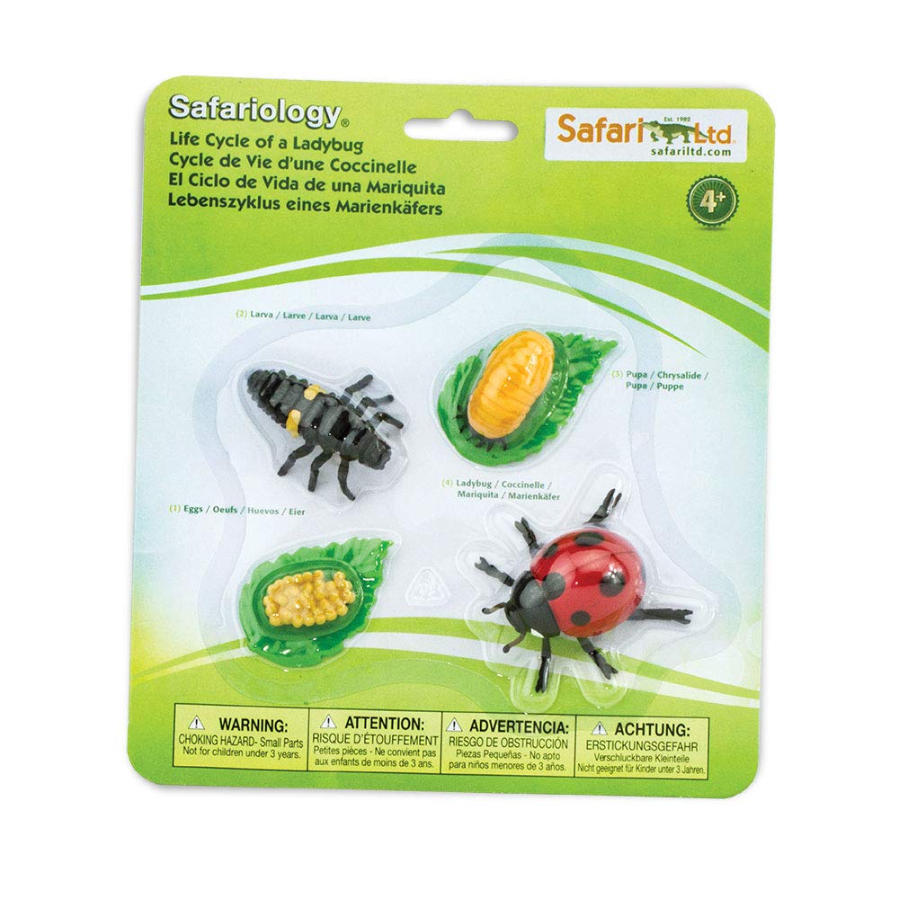 Bugs